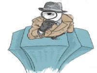 新城镇取证公司解说第三者承担离婚赔偿责任吗